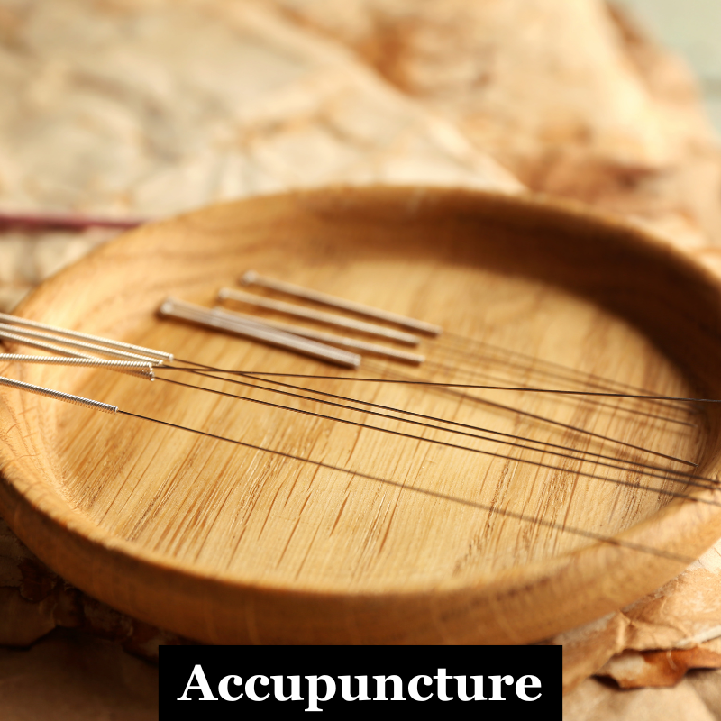 The Needle That Moves the System: Why Acupuncture Works
