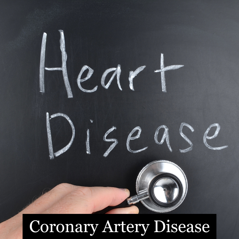 The heart to protection