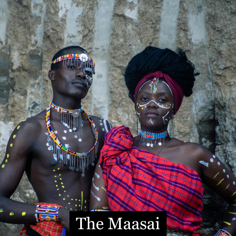 Maasai Cholesterol Myth