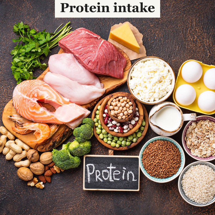 Why Wait? Unlock the Power of Protein Today