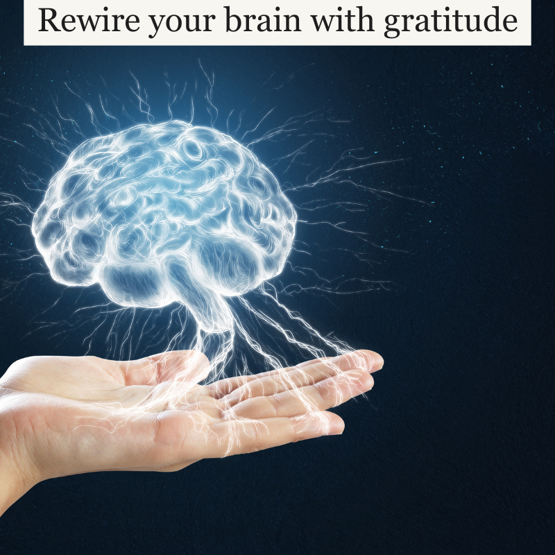 Stressed and overwhelmed? Gratitude Might Be the Secret Weapon You’re Missing.
