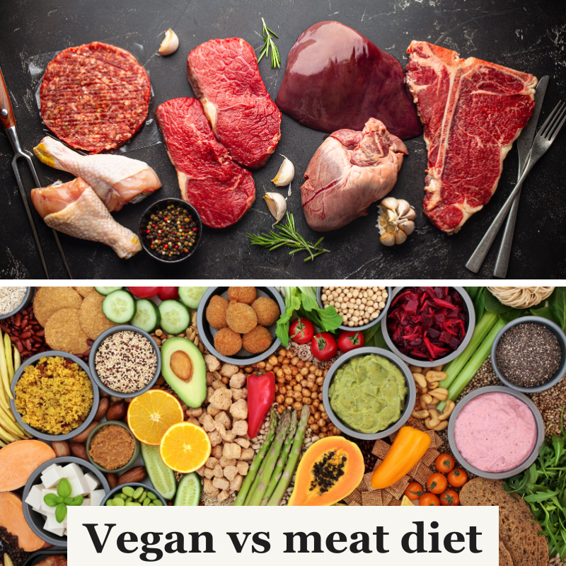 The Great Diet Debate: Are You Fighting the Wrong Battle?