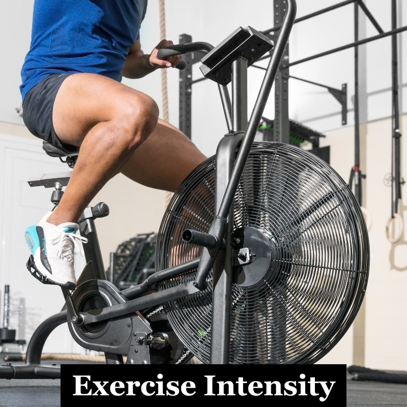Zone 2 vs HIIT: Why You Need Both for Metabolic Health and Longevity