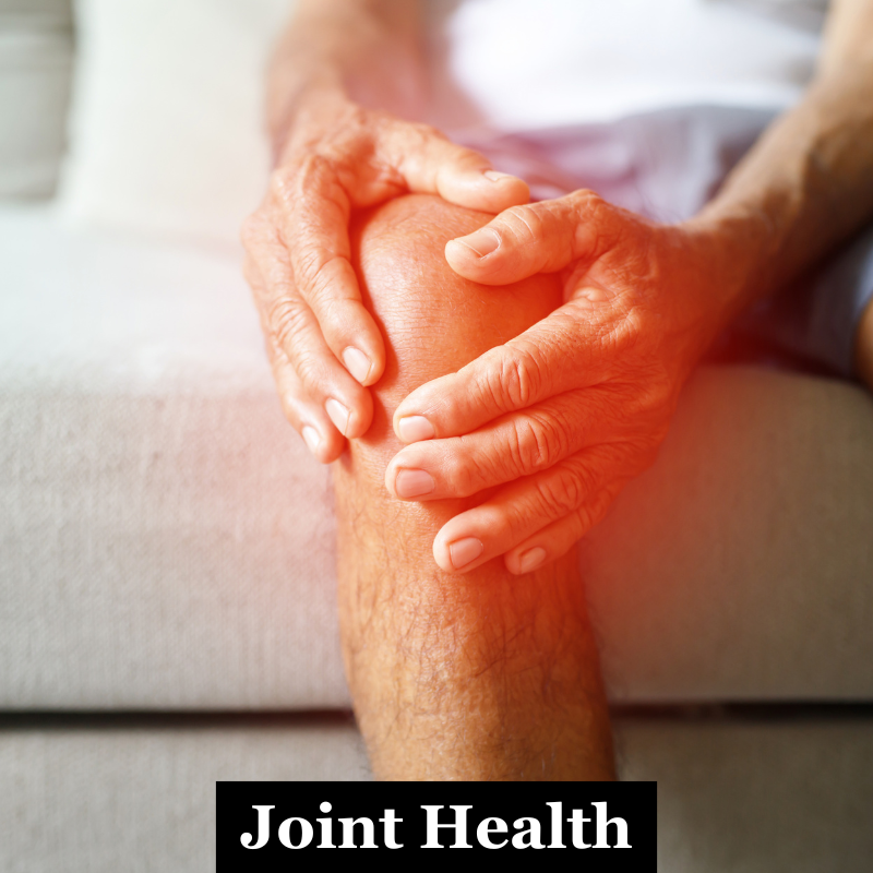 Building Resilient Joints: Strength Training as Your Shield Against Aging Injuries
