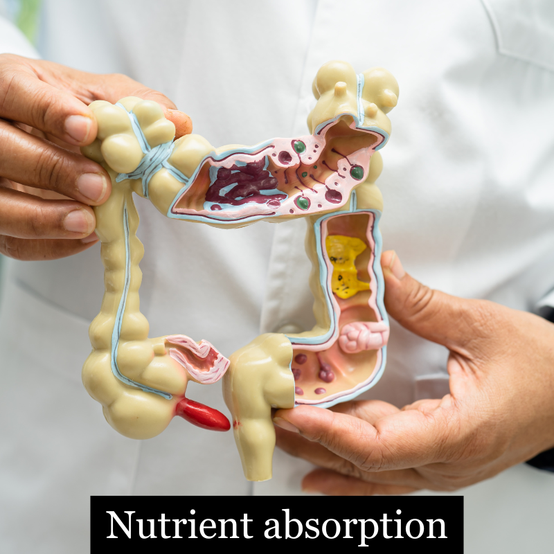 Fix the Nutrient Limiting Factor